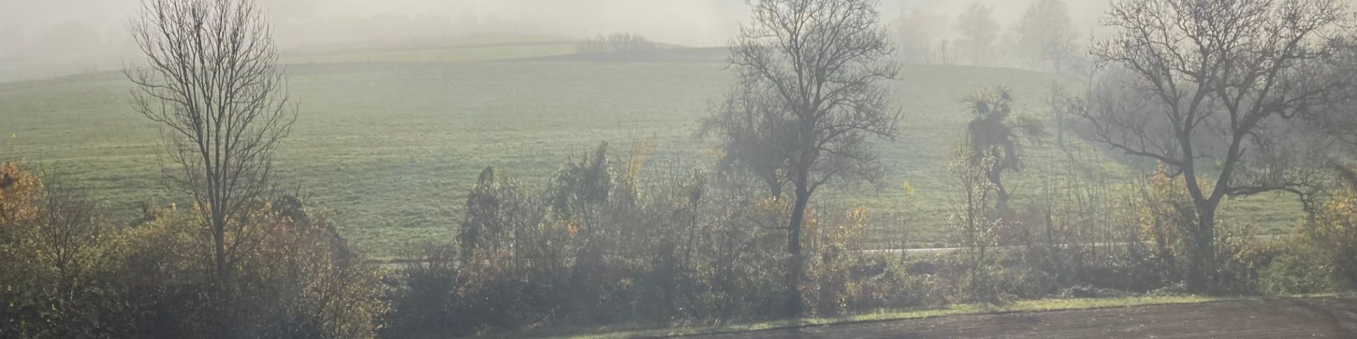 Herbstnebel nahe Wegenstetten