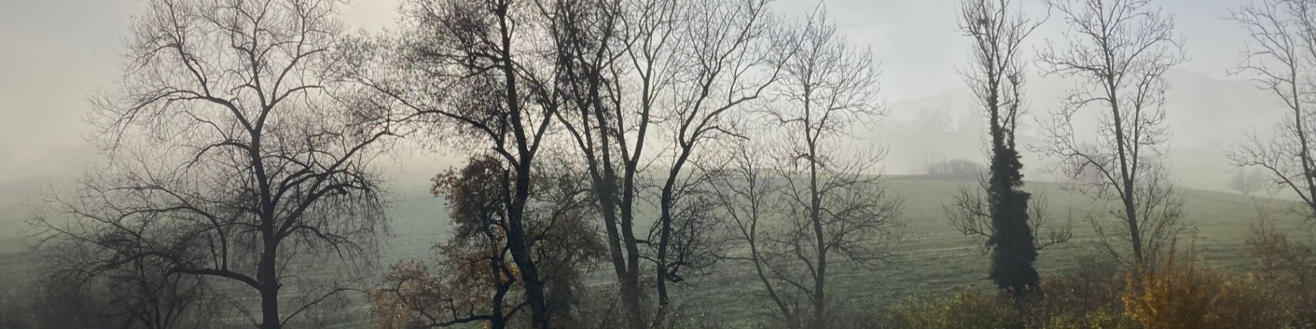 Herbstnebel nahe Wegenstetten