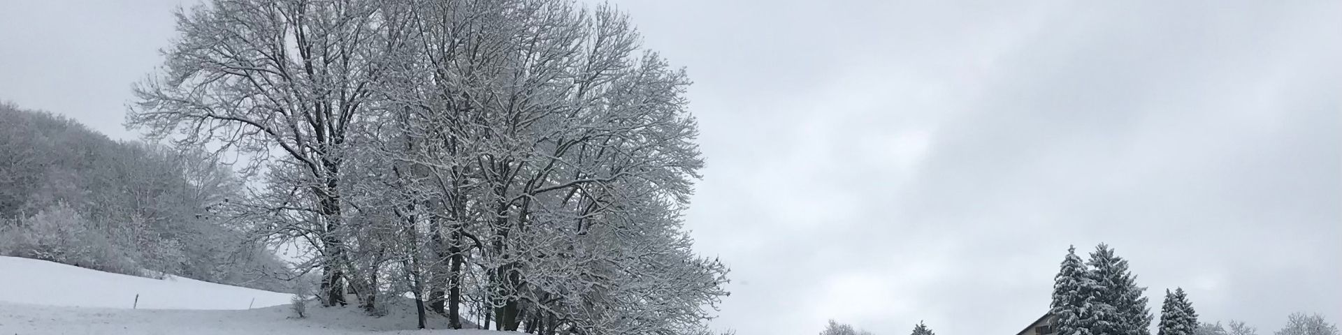 Schneelandschaft im Jura